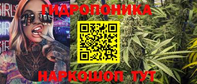 прущие крисы Будённовск