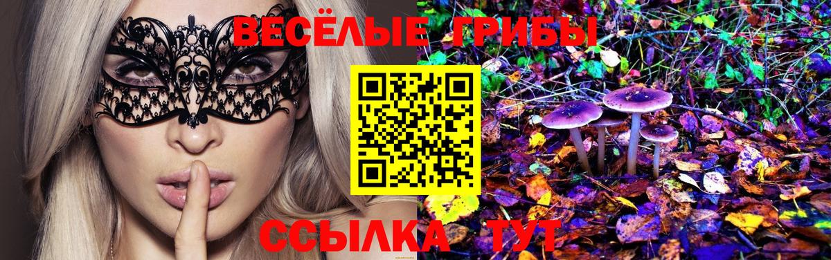 Галлюциногенные грибы Psilocybe Сергиев Посад